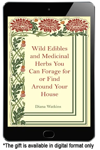 Bonus 2 - Wild Edible and Medicinal Herbs You Can Forage